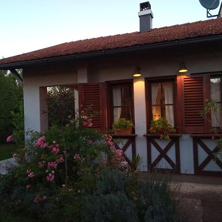 Nikolija 1 Apartment Bajina Basta Exterior foto