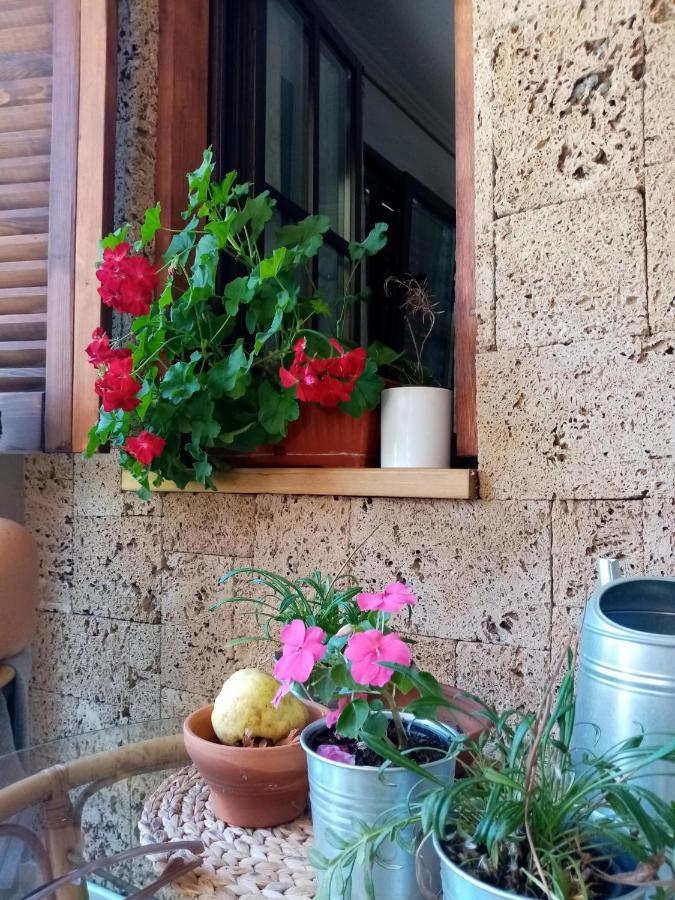 Nikolija 1 Apartment Bajina Basta Exterior foto